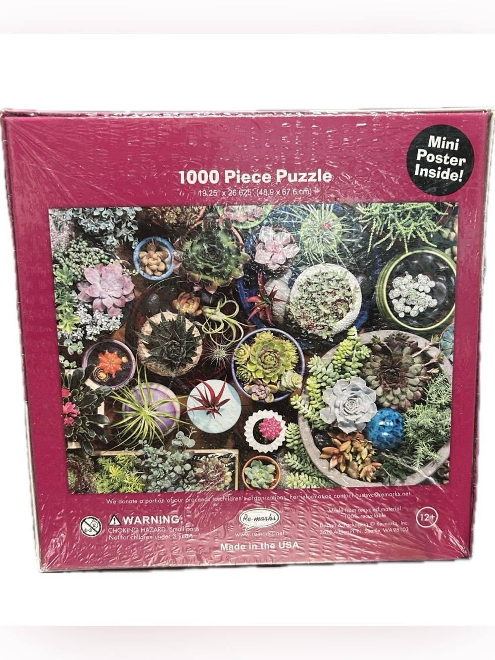 1000-Piece Succulent Puzzle - Pink Box